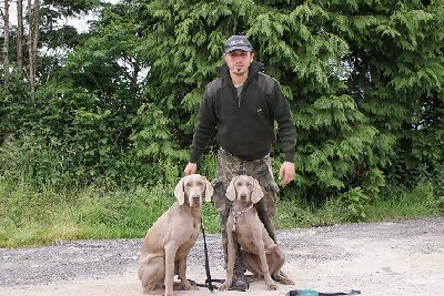 el Bosque de Lugh - Bretoña 13 & 14 June , cours pour dresser des chiens 