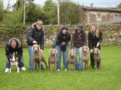 el Bosque de Lugh - Family weim & Friends in Oviedo 
